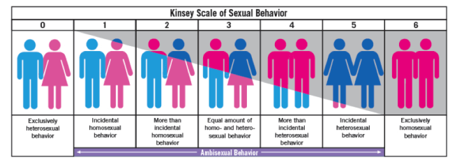 Kinsey scale test accurate