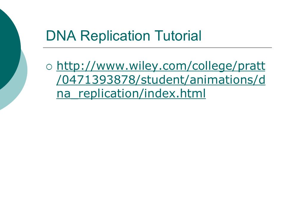 Dna replication simulation